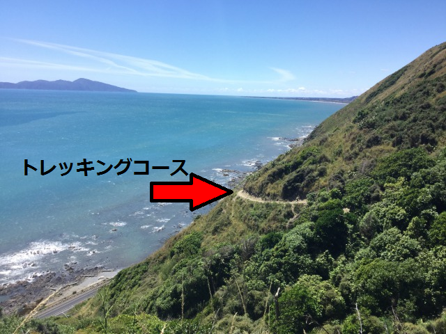 f:id:akane1033:20170106131408p:plain 【ニュージーランド・ウェリントンから日帰り観光】山なのに、海を見ながらハイキング!「Escarpment Track」を紹介します