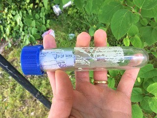 f:id:akane1033:20171109065839j:plain 地球規模のリアル宝探しゲーム「ジオキャッシング(Geocaching)」が面白い!