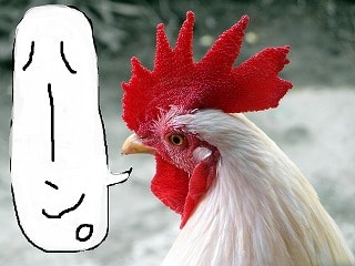 f:id:akane1033:20171110061033j:plain 【画像付き】意味は違うけど日本語としても通じるドイツ語の発音20選