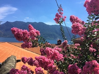 f:id:akane1033:20171110071743j:plain 夏のイタリア写真!イタリアは最高だぁぁぁ!!