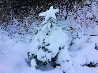 ドイツの山の上はもう銀世界だー！