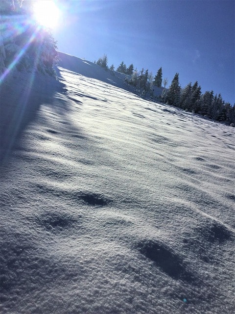 ドイツの山の上はもう銀世界だー！