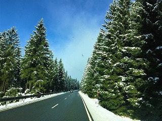 ドイツの山の上はもう銀世界だー！