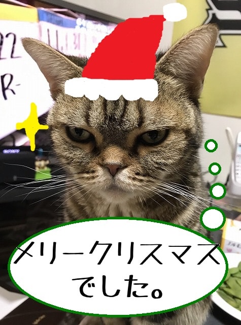 f:id:akane1033:20171226195330j:plain ドイツ義家族とのドタバタ☆クリスマス