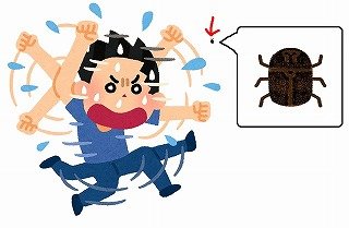 f:id:akane1033:20171226230005j:plain ドイツで1番標高の高い!?フェスティバルに行ってきました【Cabin Fever】