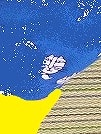 旦那の周りにあるものが、最近すごく信号機めいている