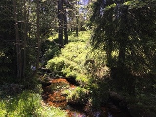 北ドイツで1番高い山・ブロッケン山に登ってきました！【Oderbrückeルート】