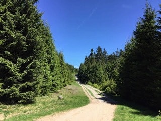 北ドイツで1番高い山・ブロッケン山に登ってきました！【Oderbrückeルート】