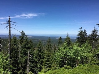 北ドイツで1番高い山・ブロッケン山に登ってきました！【Oderbrückeルート】