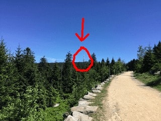 北ドイツで1番高い山・ブロッケン山に登ってきました！【Oderbrückeルート】