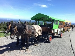 北ドイツで1番高い山・ブロッケン山に登ってきました！【Oderbrückeルート】