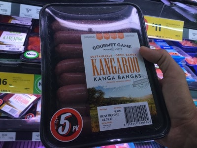 オーストラリアの森での暮らしが、インドア派にはなかなかワイルドだった件その２