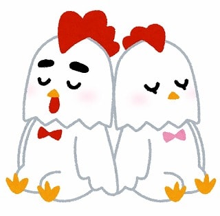f:id:akane1033:20171231061835j:plain 2017年を振り返って