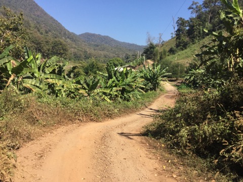 f:id:akane1033:20180119032932j:image 【タイ】秘境温泉!?メーサリアンに近い「Mae Um Long Luang Hot Springs」に行ってきました
