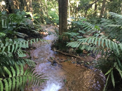 f:id:akane1033:20180120223300j:image 【タイ・メーサリアン】ガイドブックに載ってない!?「Mae Sawan Noi Waterfall」の滝がとても素敵だった
