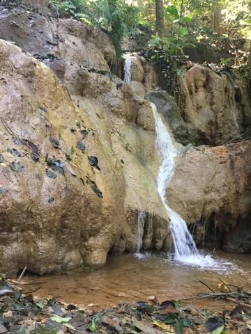 f:id:akane1033:20180120223310j:image 【タイ・メーサリアン】ガイドブックに載ってない!?「Mae Sawan Noi Waterfall」の滝がとても素敵だった
