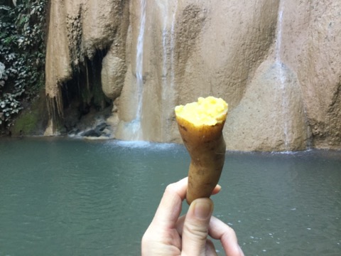 f:id:akane1033:20180120223354j:image 【タイ・メーサリアン】ガイドブックに載ってない!?「Mae Sawan Noi Waterfall」の滝がとても素敵だった