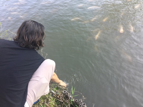 f:id:akane1033:20180126121620j:image 【タイ】バンガローでこの値段!メーサリアンのオススメ宿「Ban Suan Sukjai」