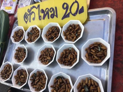 観光客が少なくてのんびりできる！タイ北部チェンマイ近郊の街「メーサリアン」