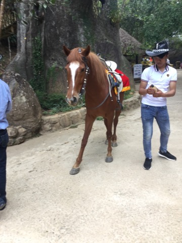 滝はオマケ！？ベトナム・ダラットにあるプレン滝（Prenn Falls）に行ってきました