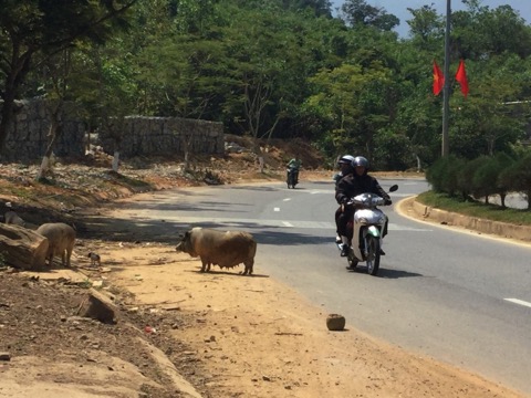 ベトナム15日間バイク旅！ホーチミン→ダラットまでの写真いろいろ