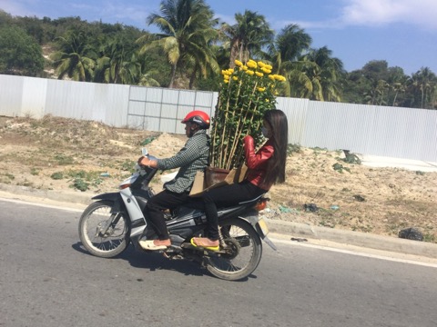 ベトナム15日間バイク旅！ホーチミン→ダラットまでの写真いろいろ