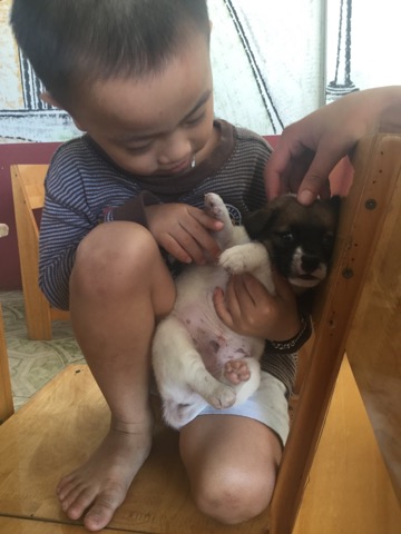 ベトナム15日間バイク旅！ホーチミン→ダラットまでの写真いろいろ