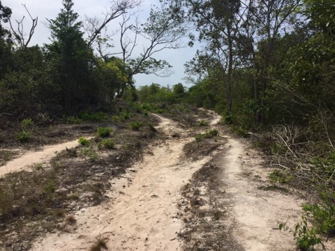 カンボジアの秘島！ロンサレム島に行ってきました