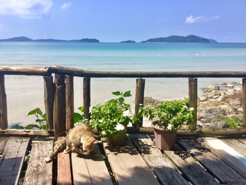 【タイ・チャーン島】海沿いなのに安くて静か！秘境感漂うおすすめバンガロー「ロングビーチ・リゾート」