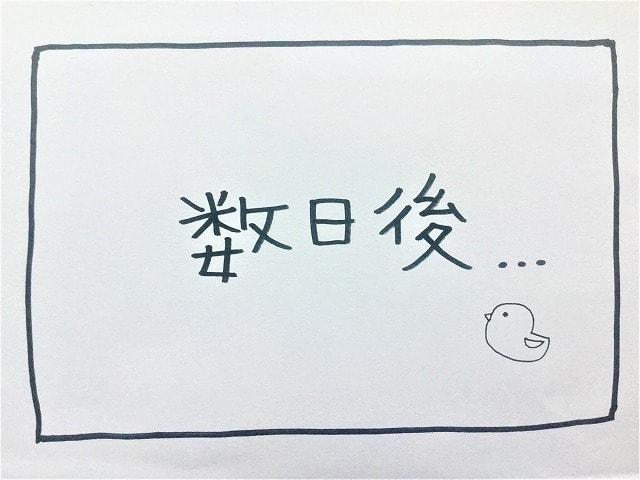 【絵日記】W杯の楽しみ方は人それぞれ？【サッカー愛とドイツ国旗】