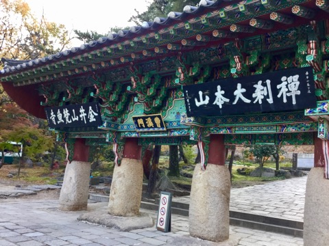 ⑤豪華客船「ダイヤモンド・プリンセス」でのクルーズ旅行レポ！【3日目：寄港地の韓国・釜山にて】