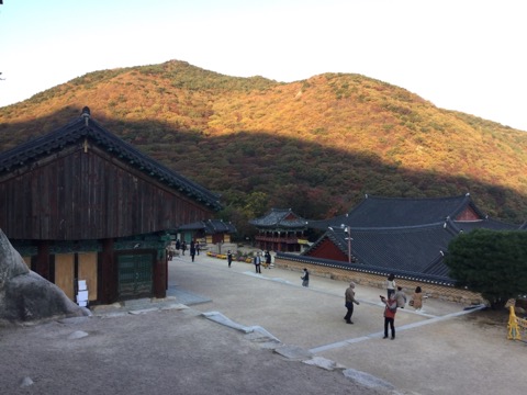 ⑤豪華客船「ダイヤモンド・プリンセス」でのクルーズ旅行レポ！【3日目：寄港地の韓国・釜山にて】