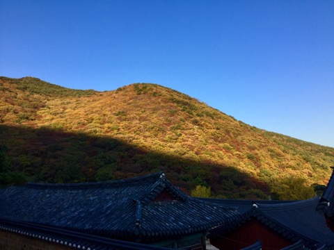 ⑤豪華客船「ダイヤモンド・プリンセス」でのクルーズ旅行レポ！【3日目：寄港地の韓国・釜山にて】