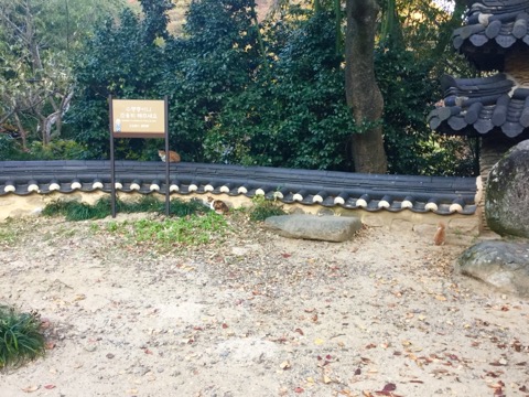 ⑤豪華客船「ダイヤモンド・プリンセス」でのクルーズ旅行レポ！【3日目：寄港地の韓国・釜山にて】