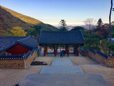 ⑤豪華客船「ダイヤモンド・プリンセス」でのクルーズ旅行レポ！【3日目：寄港地の韓国・釜山にて】