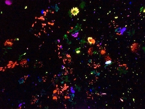 f:id:akane1033:20181218060218j:plain 豊洲にあるデジタルアートミュージアム「チームラボ(teamLab)プラネッツ」がめちゃくちゃ良かった件