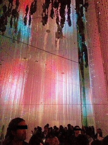 f:id:akane1033:20181218063010j:plain 豊洲にあるデジタルアートミュージアム「チームラボ(teamLab)プラネッツ」がめちゃくちゃ良かった件