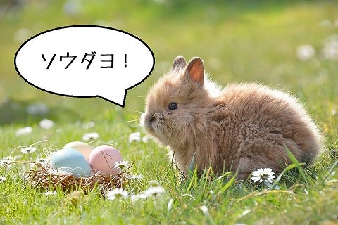 f:id:akane1033:20190601045852j:plain ドイツ春の3大紛らわしい祝日「イースター」「昇天祭」「聖霊降臨祭」を解説!