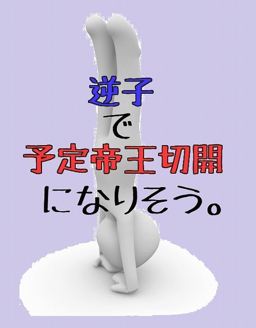 f:id:akane1033:20190820044327j:plain 妊娠38週。逆子が直らず予定帝王切開になりそう、、、