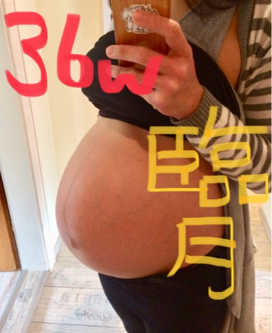 【写真でみる】妊娠中+18kg増えた私の週数別お腹の大きさ＆体重変化の推移まとめ