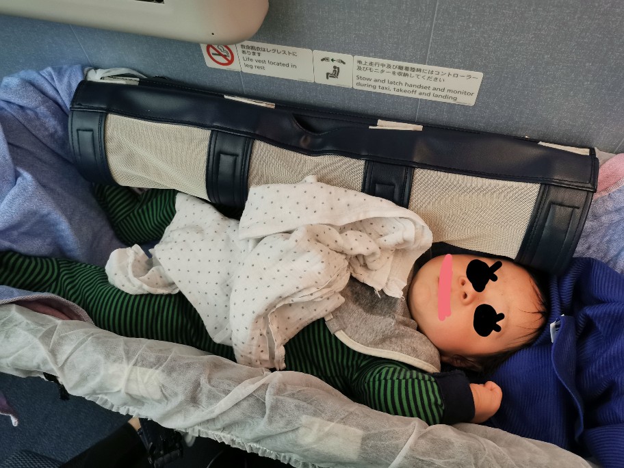 f:id:akane1033:20200204131149j:image 生後4ヶ月の赤ちゃんと飛行機旅行!持ち物や注意点は?