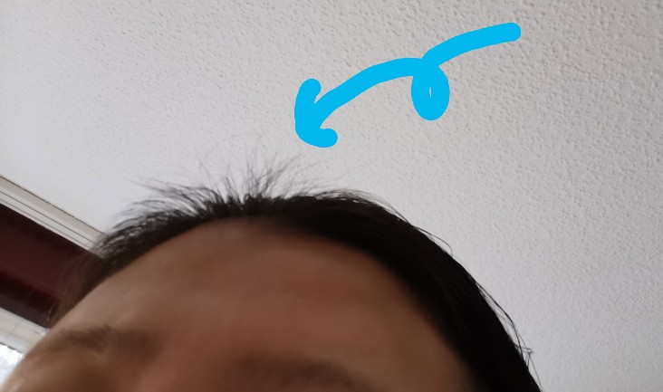 f:id:akane1033:20200425042352j:image 【生後6ヶ月】赤ちゃんとママの様子を振り返る