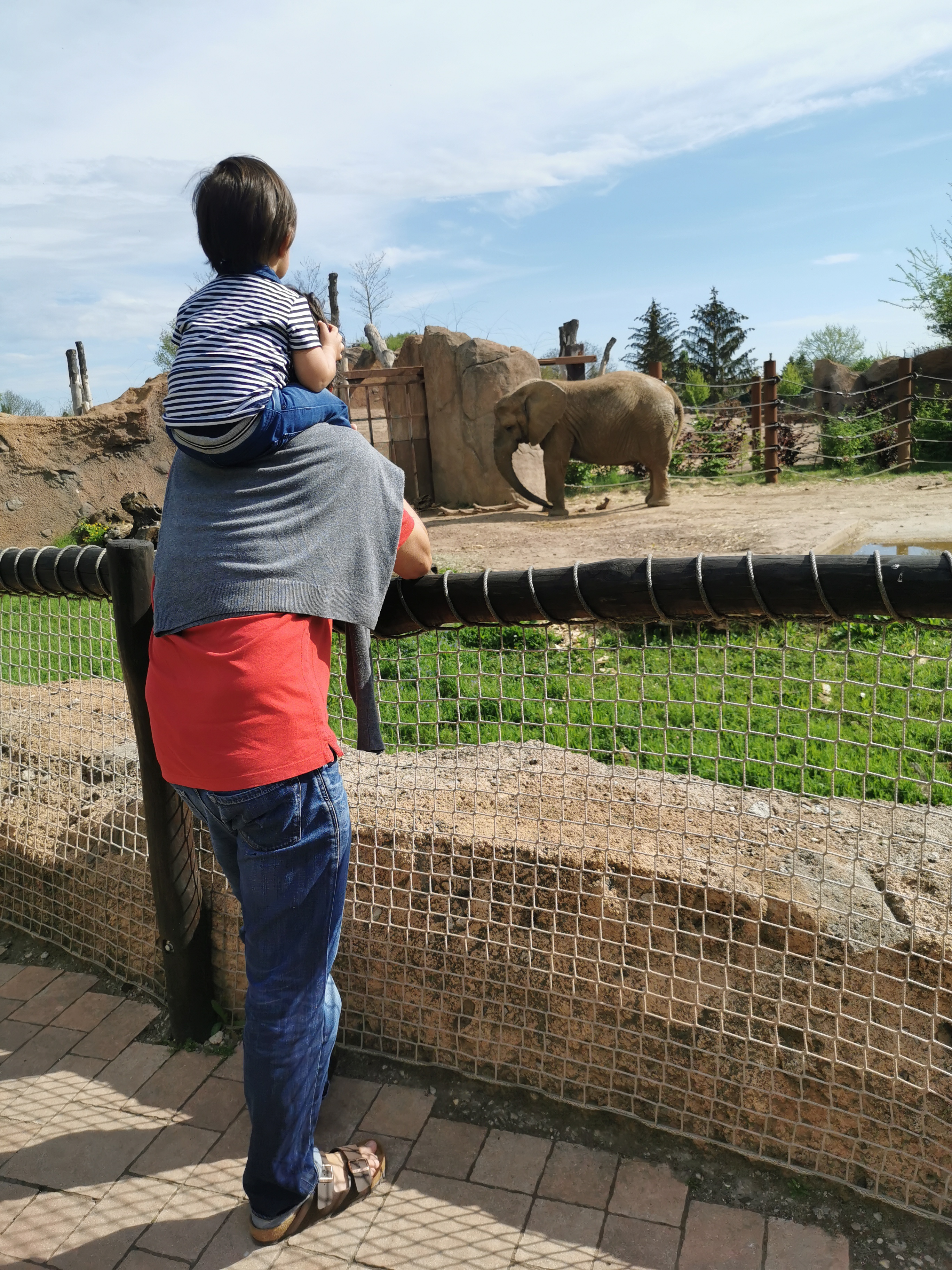 コロナ禍だけど動物園デビュー！